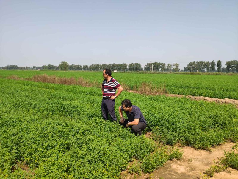 中誠(chéng)草業(yè)主題教育照片1 中誠(chéng)草業(yè)主題教育照片1